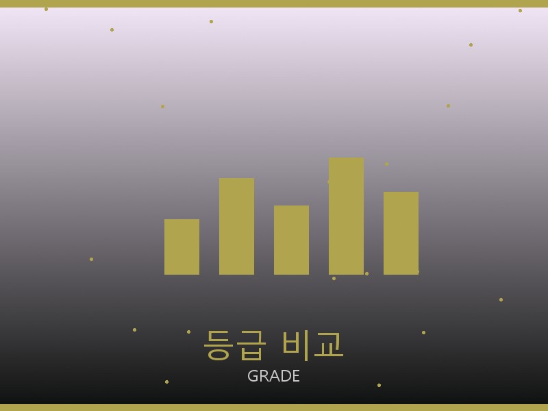 미우미우 미러급 사이트 등급 기준 비교